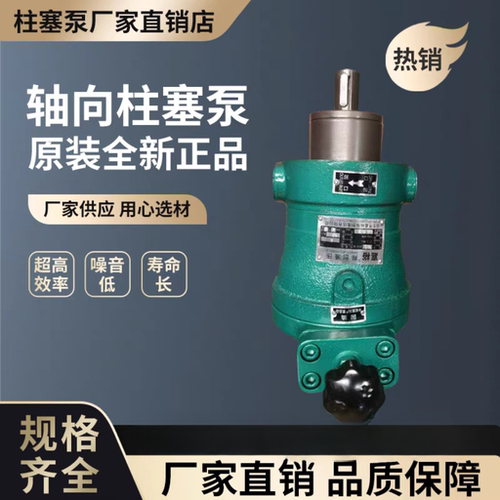 手动变量泵启东嘉裕轴向柱塞泵