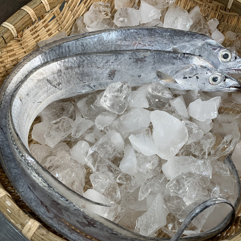 舟山雷达网东海野生小眼睛带鱼刀鱼新鲜特级大带鱼  4斤起拍包邮