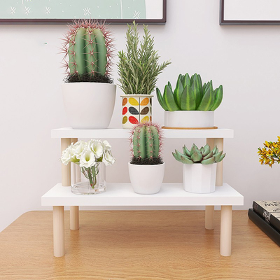 桌面小型多肉花架阶梯式