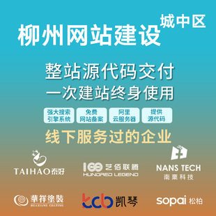 柳州 城中区网站建设开发定制 企业网站搭建设计官网 外贸站架设