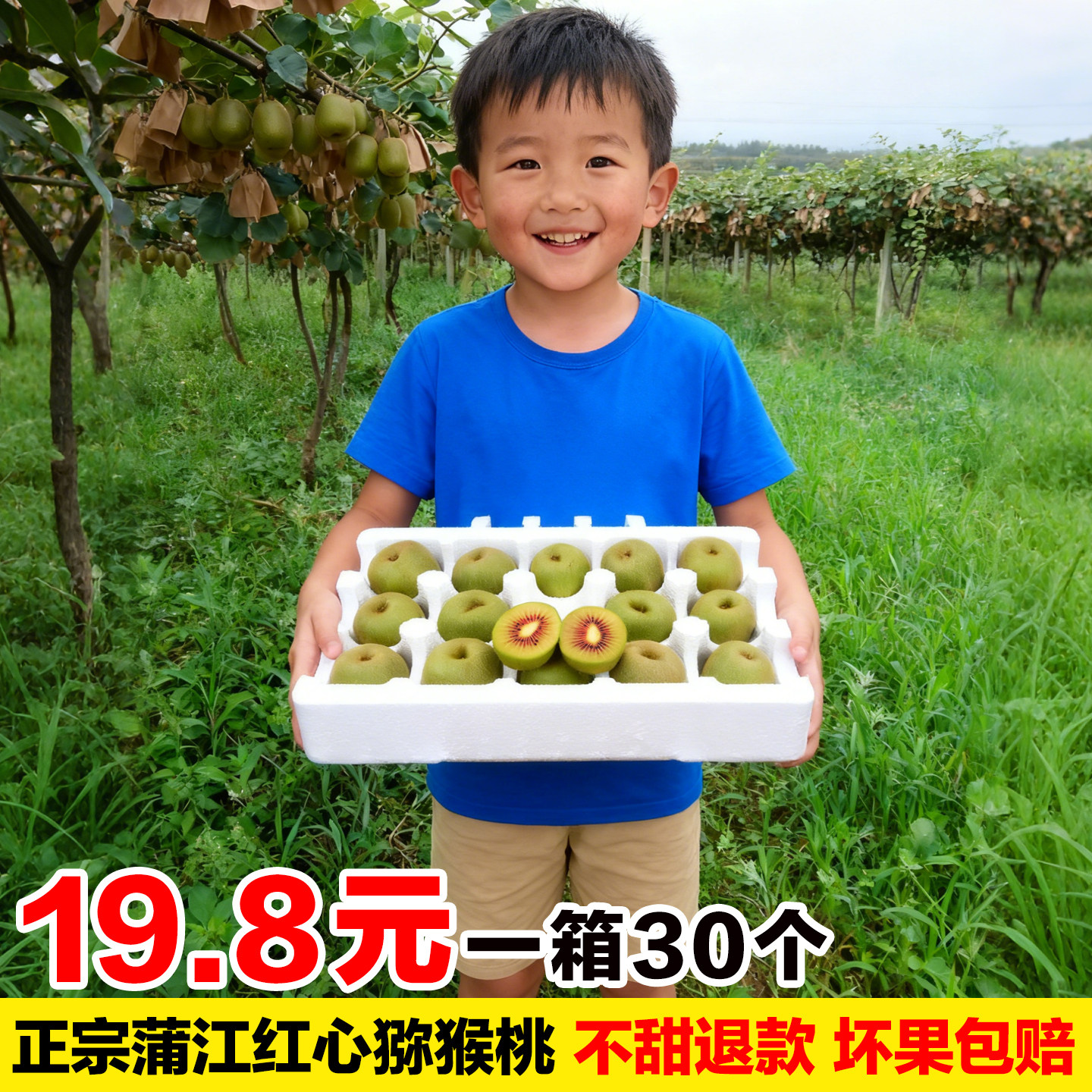 正宗蒲江红心猕猴桃现摘实惠小果