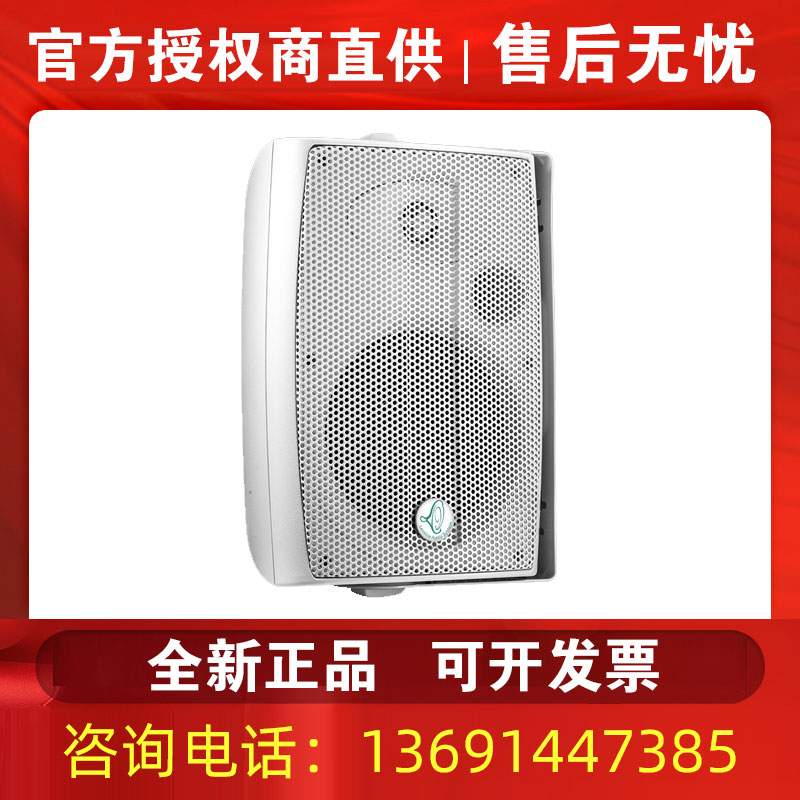 Levoice音丽士 M5 M6 M8电教会议室壁挂式音箱商铺咖啡厅背景音乐