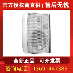 Levoice音丽士 M8电教会议室壁挂式 音箱商铺咖啡厅背景音乐