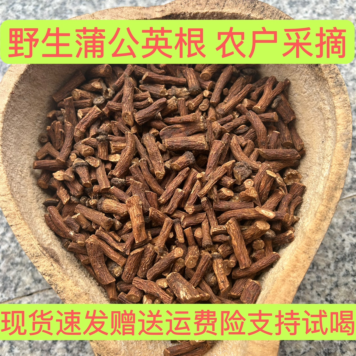 大别山野生蒲公英根500g 婆婆丁整根正品炒制养生茶 收货试喝