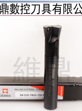 SB双刃粗镗刀杆 瑞典德克镗杆SB-C20-TB21~28-120 固定双刃搪刀杆