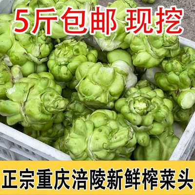 正宗重庆涪陵新鲜榨菜头5斤包邮现挖农家自产芥菜头圆形整颗榨菜
