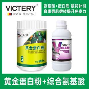 汉诺威鸽药黄金蛋白粉+综合氨基酸 育雏强肌健体提升赛鸽免疫力