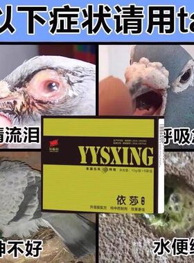 心连心鸽子药依莎赛信鸽鹦鹉单眼伤风眼睛流眼泪衣原体呼吸道