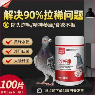 格莱德沙杆康鸽子沙门氏菌信鸽非专用调理腹泻拉稀水绿便肠道鸽药