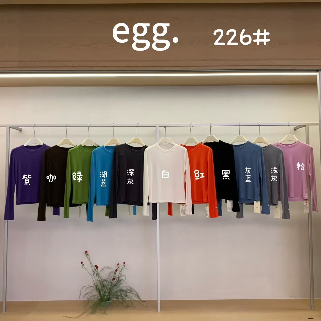 egg 正品2025秋季新款韩版时尚百搭显瘦圆领天丝羊毛长袖T恤 226
