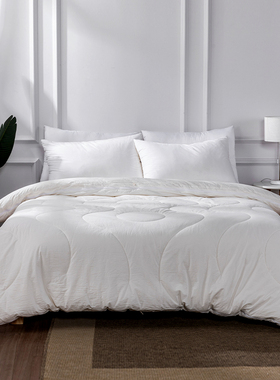 远梦MICHELL1870羊毛子母被加厚保暖冬被2米2.2米双胞胎子母被芯