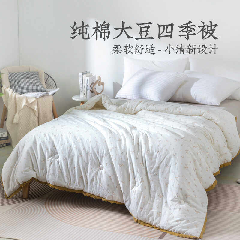 远梦大豆春秋被四季被
