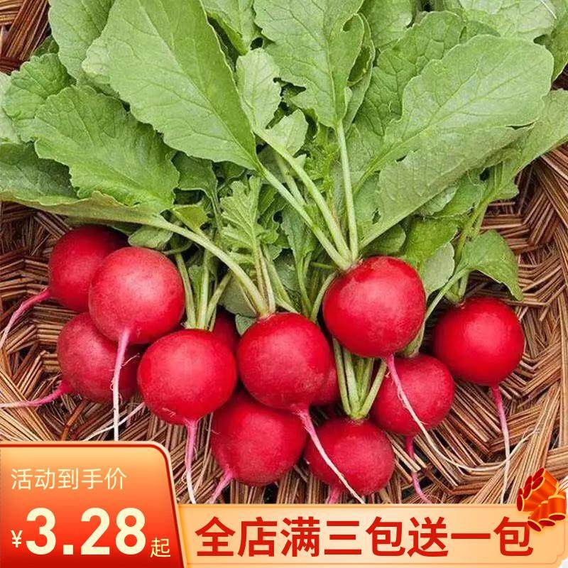 樱桃萝卜种子迷你萝卜菜籽四季阳台盆栽早熟易种蔬菜水果新鲜种子,鲜花速递/花卉仿真/绿植园艺,家庭园艺种子,淘宝优惠券,粉丝福利购,淘宝优惠卷