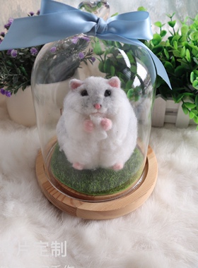照片定制宠物仓鼠龙猫羊毛毡成品公仔戳戳乐玻璃罩生日礼物摆件