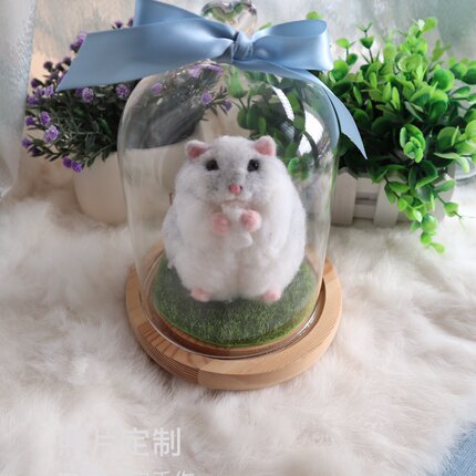 照片定制宠物仓鼠龙猫羊毛毡成品公仔戳戳乐玻璃罩生日礼物摆件