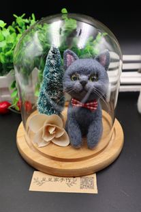 照片定制宠物蓝猫全身摆件玻璃罩带灯英短美短银渐层猫咪汽车摆件