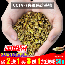 7元包邮  道地养生 铁皮石斛粉10g