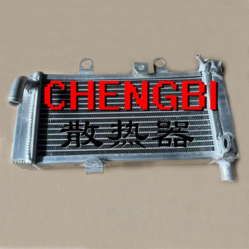 适用于春风摩托车配件CF250NK水箱CF250-A散热器冷却器水冷散热器