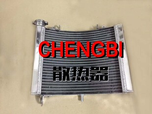 适用于本田摩托车NSR250 PGM250 P3 P4全铝水箱91-99年改装散热器