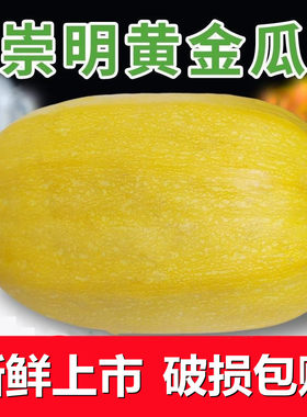 崇明岛天然时令5-6包邮金丝绞瓜