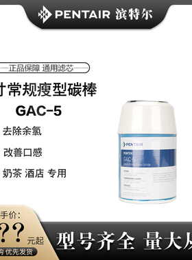PENTAIR PENTEK滨特尔5寸GAC-5颗粒C2活性炭PP棉P5-478通用瓶滤芯