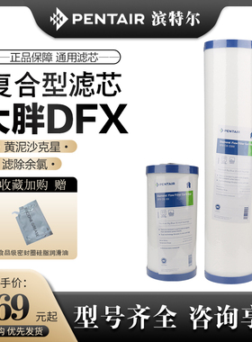滨特尔家用10 20寸大胖前置白瓶复合PP钻石流DFX蓝瓶活性炭棒滤芯