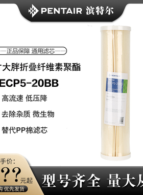 PENTAIR滨特尔20寸大胖进口ECP5-20BB折纸纤维素聚酯大胖滤瓶滤芯