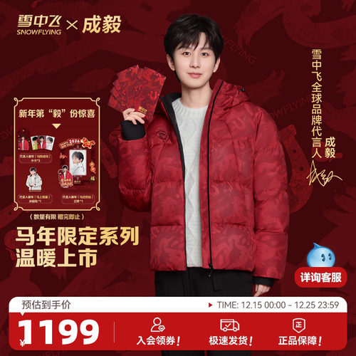 雪中飞复古多彩时尚面包男羽绒服