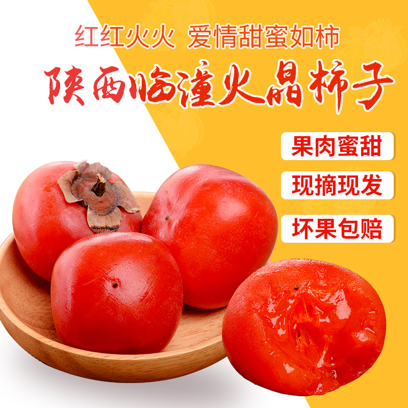陕西临潼老树火晶柿子现摘现发