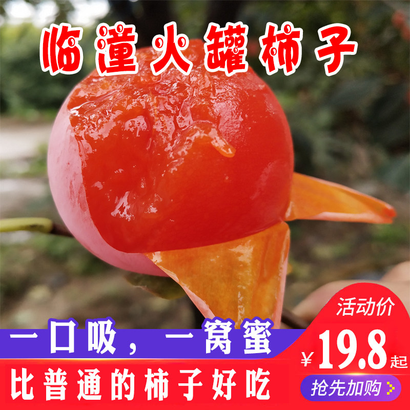 陕西临潼火罐小蜜柿现摘整箱包邮