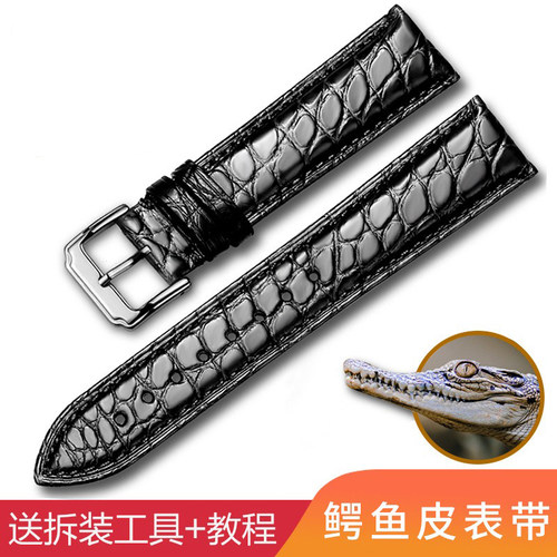 真皮手表带美洲鳄鱼ck浪琴美度