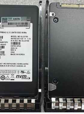 【议价】【议价】E P50269-003 3.84t PM9A3 可