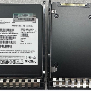 P50269 003 3.84t 可 PM9A3 议价