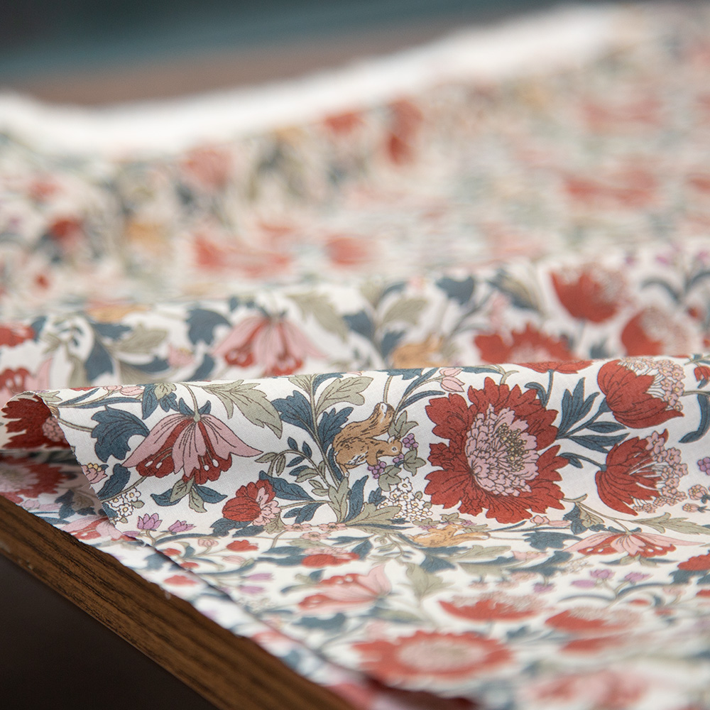 hokkoh进口80支精梳棉花和松鼠