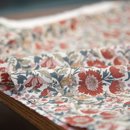 hokkoh进口80支精梳棉花和松鼠