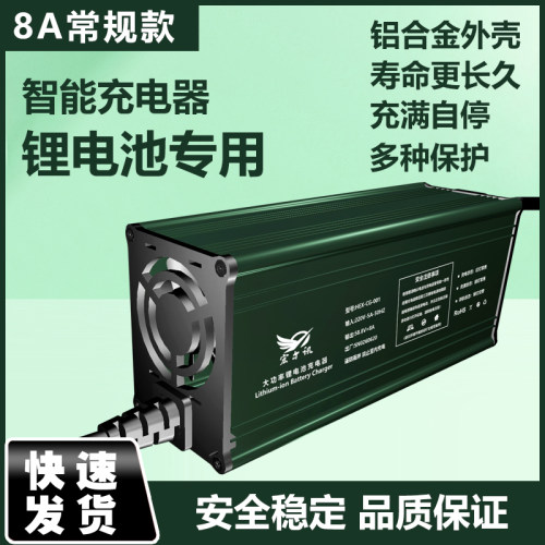 诺佳通电动车充电器三元铁锂通用