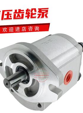 P216RP01DT高压齿轮泵P204/P208/P211/P214/P216/P225/P233RP01DT