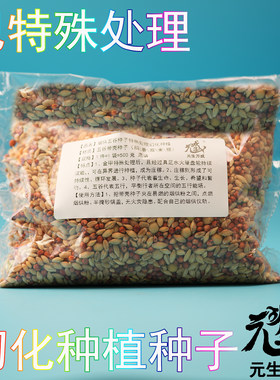烟供五谷种子 特殊处理幻化种植种子延续裂变生命活力善业增长