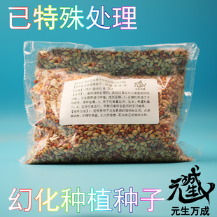 烟供五谷种子 特殊处理幻化种植种子延续裂变生命活力善业增长