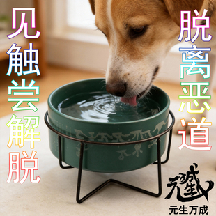 宠物碗 陶瓷保护颈椎猫碗狗盆见触尝解脱众障净除清淨五毒