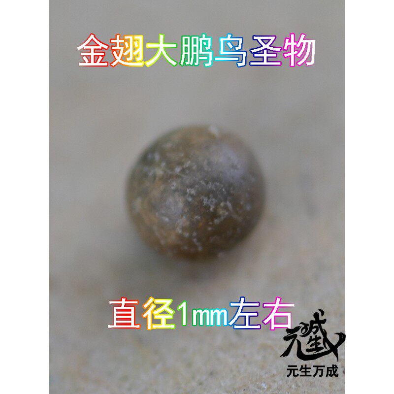 金翅大鹏鸟圣物 粪便颗粒单笔订单满1000元可拍一颗图片