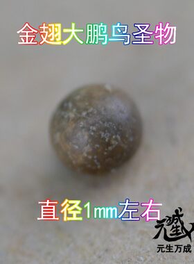 金翅大鹏鸟圣物 粪便颗粒单笔订单满1000元可拍一颗