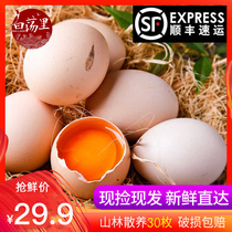 Authentic Native eggs, farmhouse's fresh pure rural self-cultivation, natural 30 grass eggs, firewood eggs, Ben Ben Ben eggs