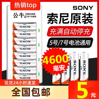 索尼话筒进口4600充电电池号75KTV号充电日本玩具车充电电池毫安