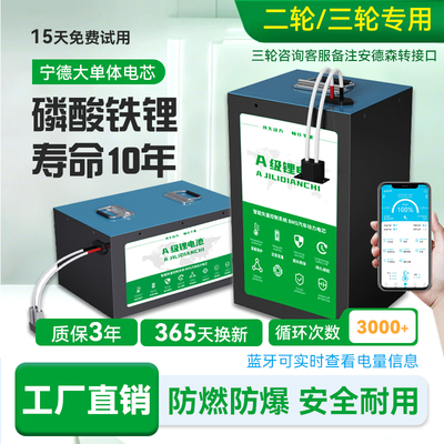 宁德时代大单体48v磷酸铁