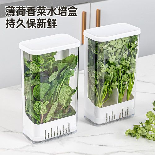 薄荷香菜水培盒厨房保鲜盒