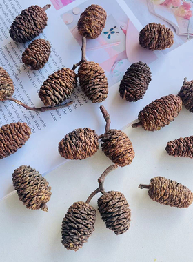 手工花环水杨子植物果实创意塔松