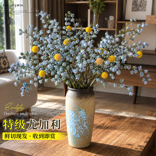 钻石尤加利果鲜花干花干果真花鲜切新果大枝云南基地直发现采花材