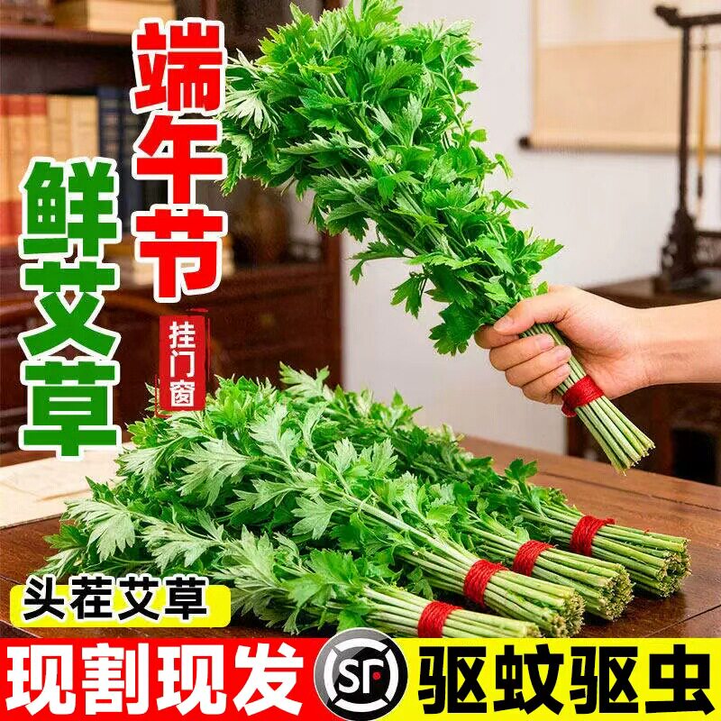 新鲜艾草现摘整棵带根野生嫩叶挂门食用盆栽端午青团菖蒲门挂驱蚊