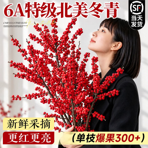 北美冬青红果鲜切枝现采现发真鲜花水养春节年宵花卉客厅插瓶装饰